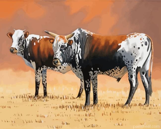 Nguni Cows Painting By Numbers Kits