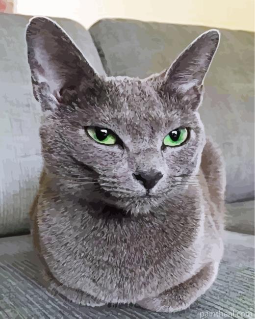 Mad Russian Blue Cat Painting By Numbers Kits