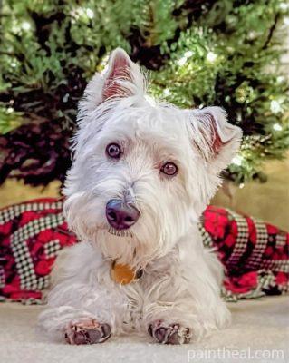 Westie Puppy Painting By Numbers Kits