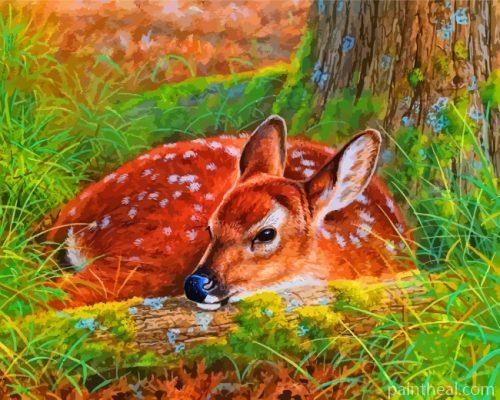 Female Deer Painting By Numbers Kits