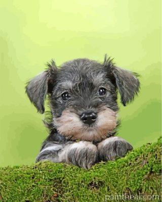 Schnauzer Puppy Painting By Numbers Kits