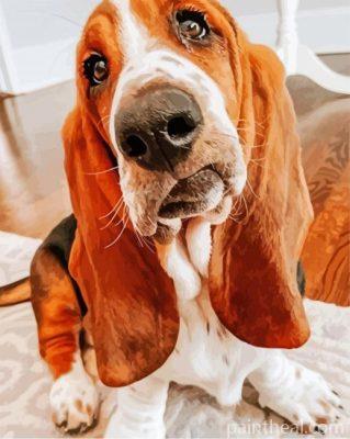 Cute Bloodhound Painting By Numbers Kits