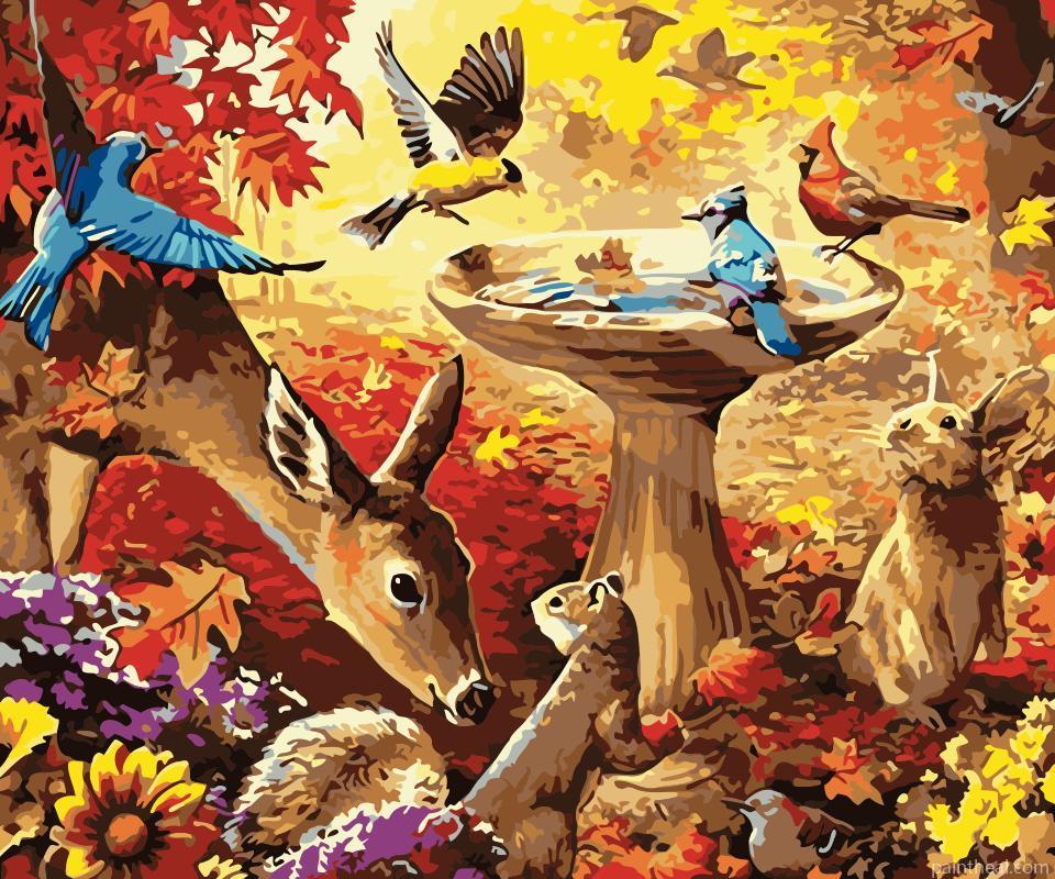 Autumn Birdbath Forest Animals Painting By Numbers Kits