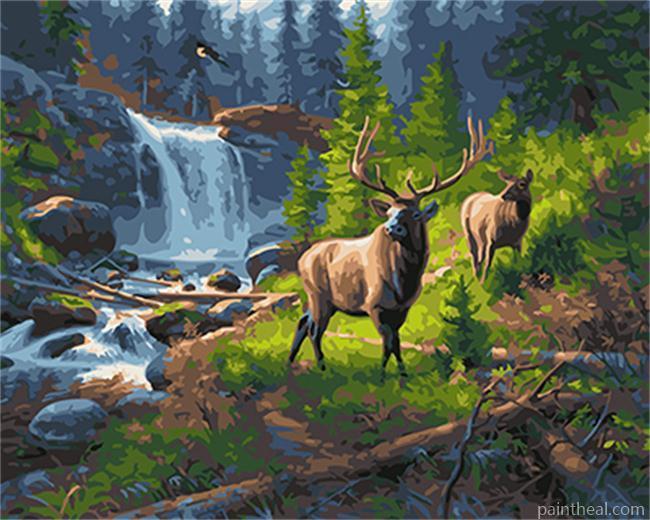 Beautiful Forest Deer Painting By Numbers Kits