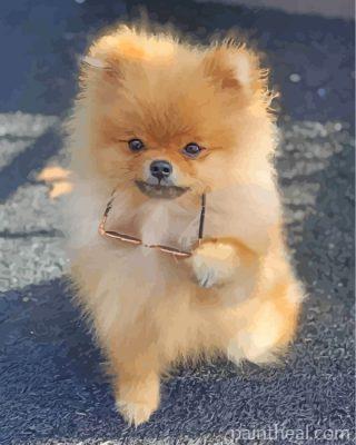 Stylish Pomeranian Painting By Numbers Kits