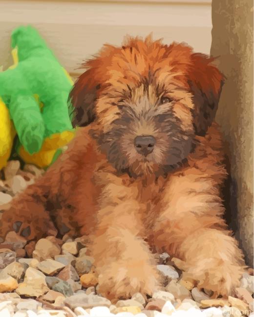 Wheaten Terrier Puppy Painting By Numbers Kits