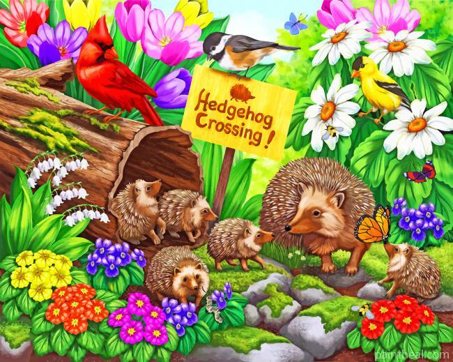 Hedgehog Crossing Painting By Numbers Kits