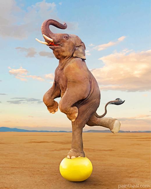 Elephant Balancing Painting By Numbers Kits