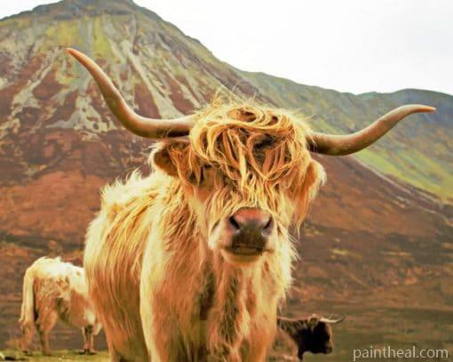 Highland Cow Gazing Painting By Numbers Kits