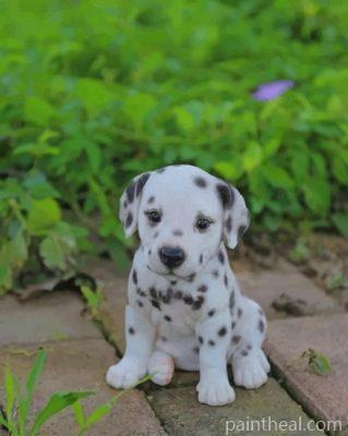 Baby Dalmatian Painting By Numbers Kits