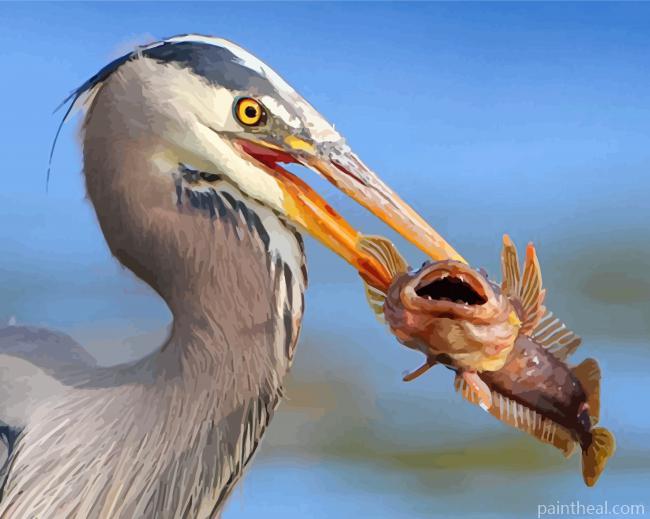 Heron Eating A Fish Painting By Numbers Kits