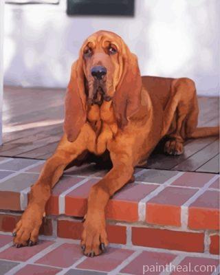 Brown Bloodhound Painting By Numbers Kits