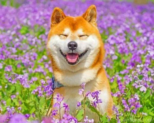 Smiling Shiba Inu Painting By Numbers Kits