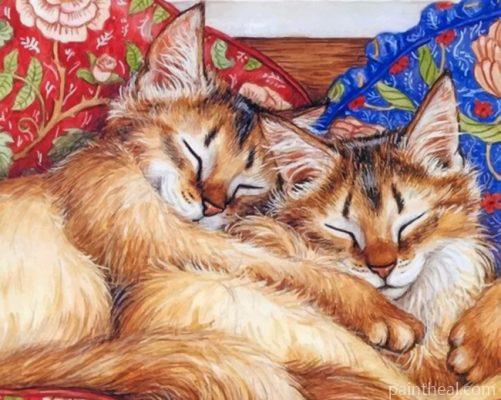 Cats Sleeping Painting By Numbers Kits