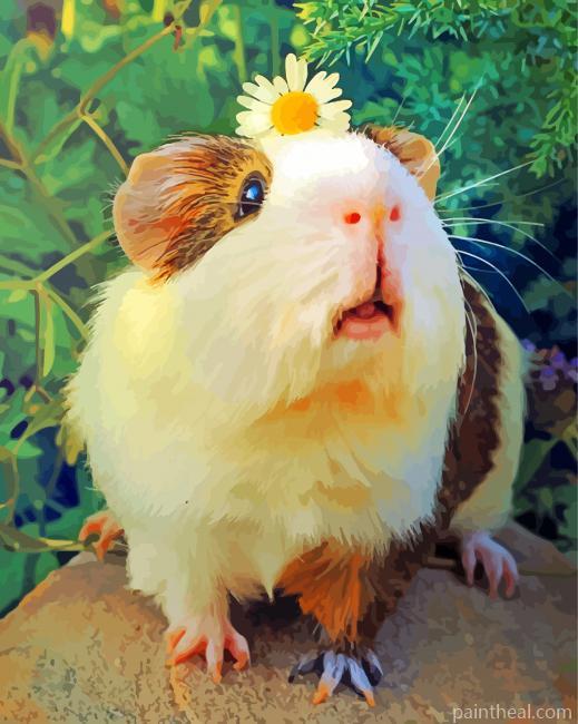 Guinea Pig And Flower Painting By Numbers Kits