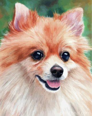 Pomeranian Puppy Painting By Numbers Kits