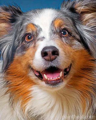 Sheltie Pet Painting By Numbers Kits