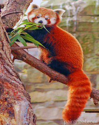 Red Panda On Tree Painting By Numbers Kits
