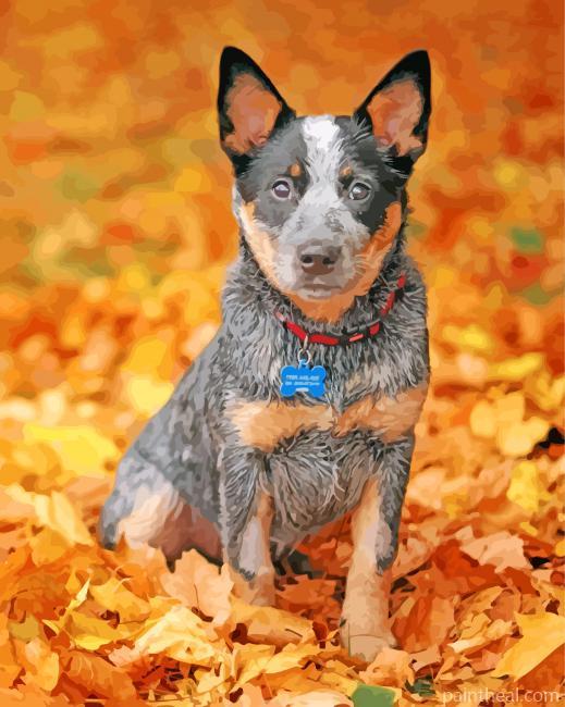 Blue Heeler Pet Painting By Numbers Kits
