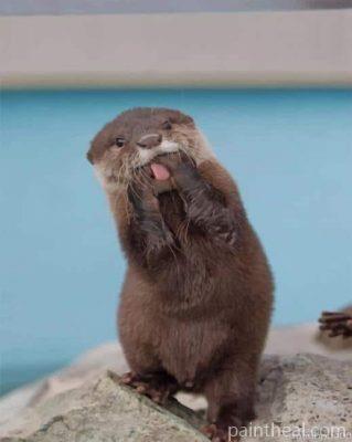 Asian Small Clawed Otter Painting By Numbers Kits