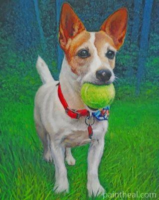 Jack Russell And Ball Painting By Numbers Kits