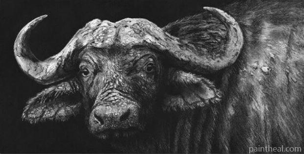 Black And White Buffalo Painting By Numbers Kits