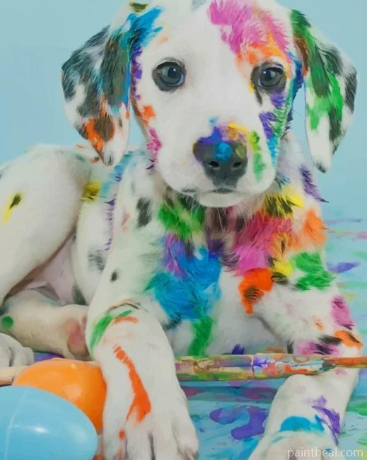 Colorful Dalmatian Painting By Numbers Kits