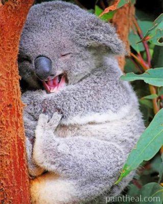 Sleepy Koala Painting By Numbers Kits