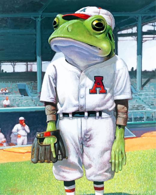 Baseball Frog Painting By Numbers Kits