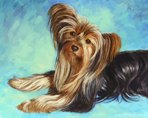 Yorkshire Terrier Dog Painting By Numbers Kits