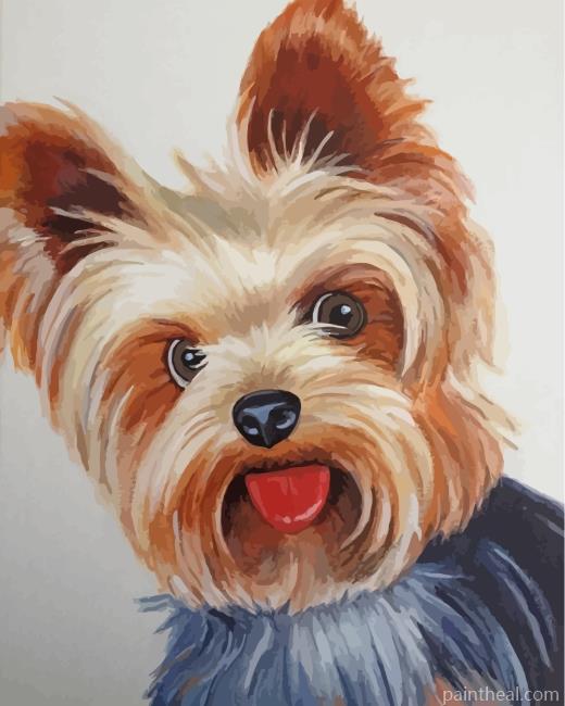 Yorkshire Terrier Painting By Numbers Kits