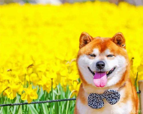Shiba Inu Dog Painting By Numbers Kits
