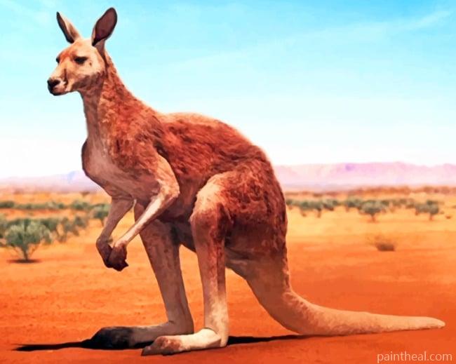 Desert Kangaroo Painting By Numbers Kits