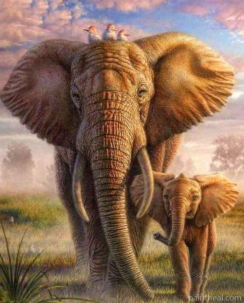 African Elephant And His Cub Painting By Numbers Kits