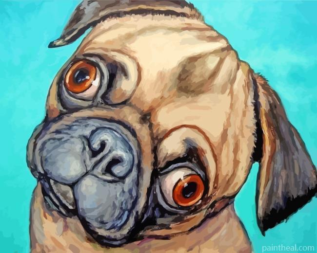 Pug Dog Painting By Numbers Kits
