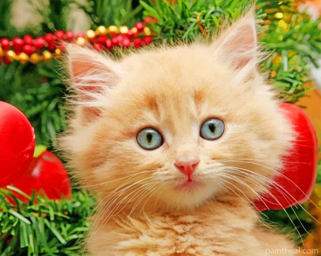 Christmas Cat Painting By Numbers Kits