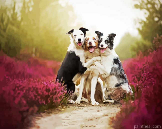 Cute Collies Painting By Numbers Kits