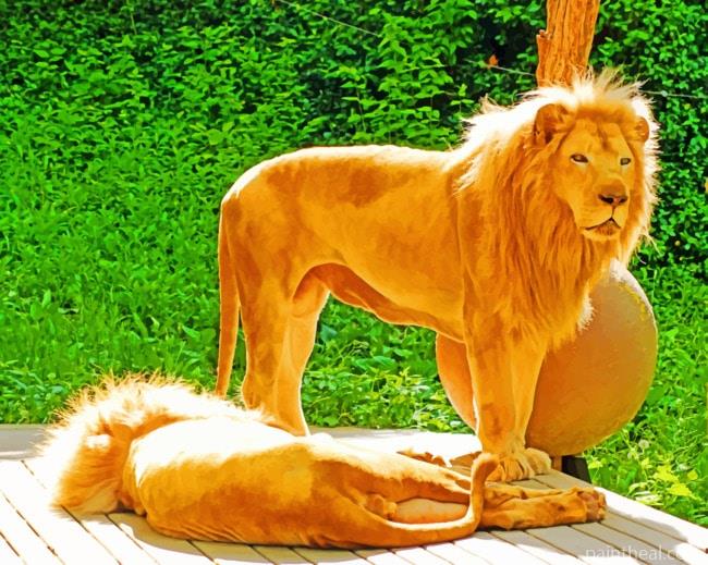 Lions Animals Painting By Numbers Kits
