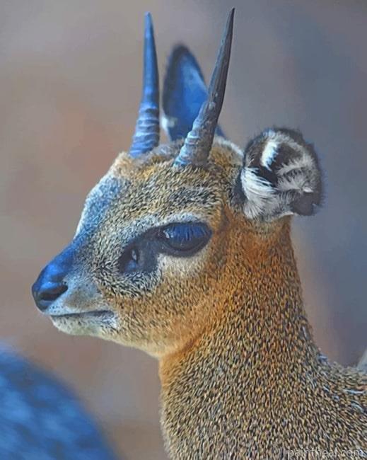 Baby Antelope Painting By Numbers Kits