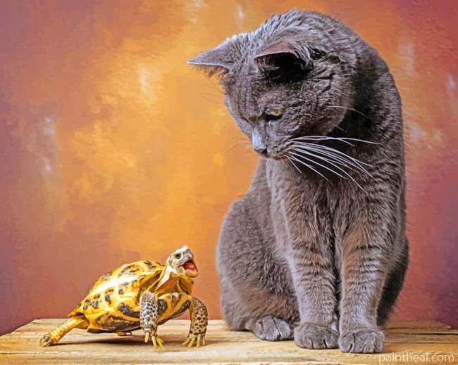 Cat And Turtle Painting By Numbers Kits