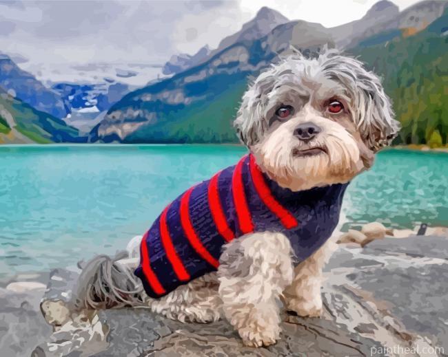 Shichon Dog In Banff National Park Painting By Numbers Kits