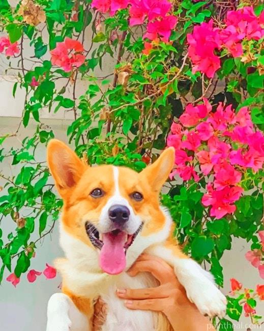 Pembroke Welsh Corgi Painting By Numbers Kits
