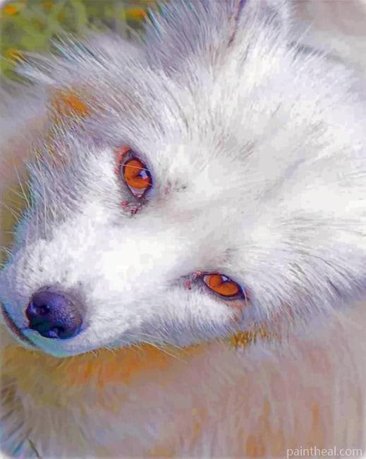 White Fox With Red eyes Painting By Numbers Kits