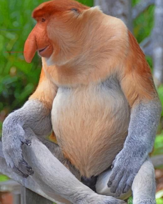 Proboscis Monkey In Forest Painting By Numbers Kits