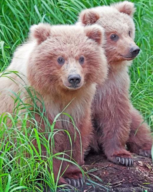 Fluffy Bears Painting By Numbers Kits