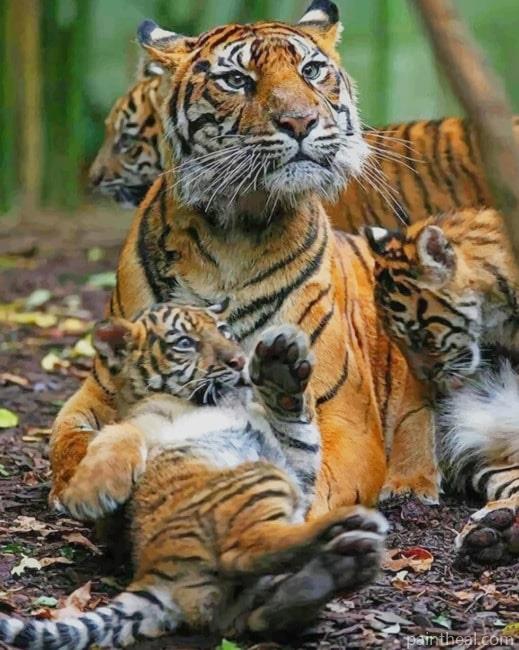 Mommy Tiger And Babies Painting By Numbers Kits