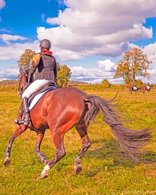 Horse Rider Painting By Numbers Kits