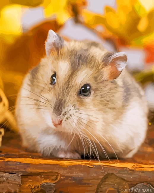 Grey And Brown Hamster Painting By Numbers Kits