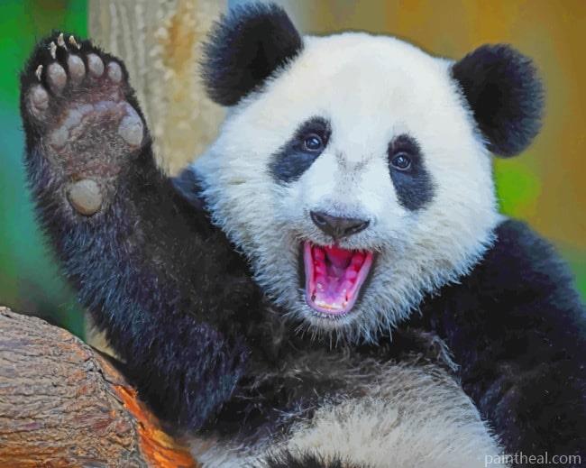 Panda Bear Painting By Numbers Kits