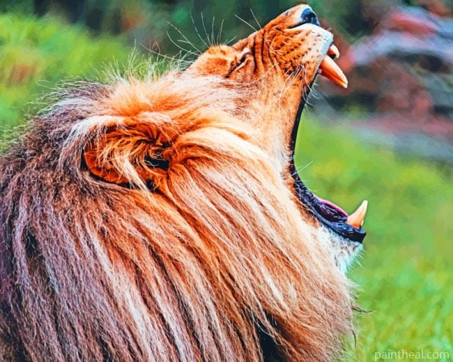 Roaring Wild Lion Painting By Numbers Kits